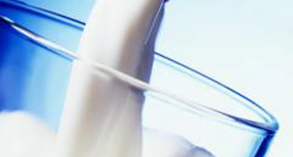 Изтича крайният срок за прием на документи за субсидии на млекопроизводителите