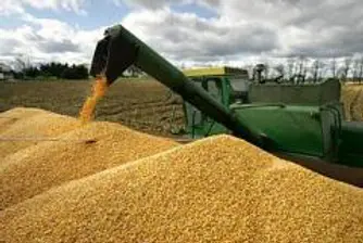 Зърнопроизводителите от Лудогорието недоволни от субсидии