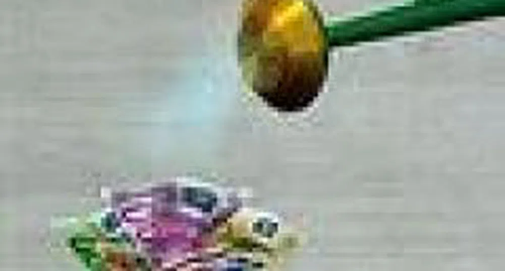 The Large Collective Investment Schemes Like Chimimport, Monbat, and Orgachim