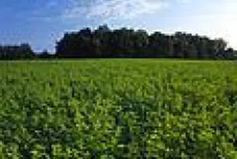 Земеделските стопани ще могат да ползват кредит от търговските банки