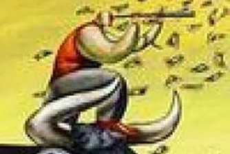 Bulgarian Stock Exchange Proves "Immature", Might Be A Good Sign For Investors