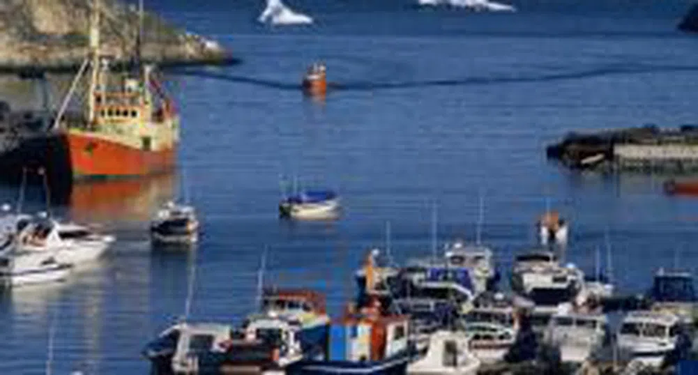 Ледоходът в Силистра достига 50%, пристанището в Русе е затворено