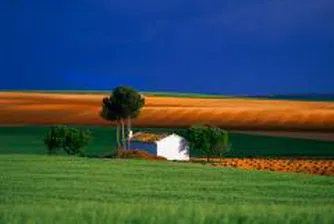 Advance Terrafund Acquires 8,000 Decares of Land At an Avg of 350 leva In April