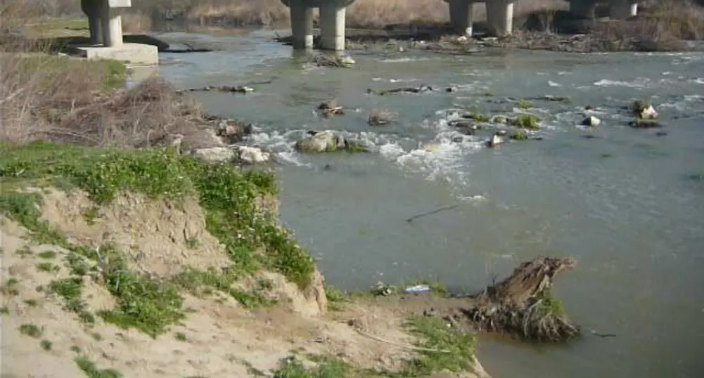 Ариана зарибява 8 водоема в страната