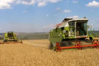 Експерти: Световното производство на пшеница през 2008 г.  ще достигне  657.6 млн. тона