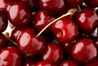 50 стотинки за килограм череши в Кюстендилско