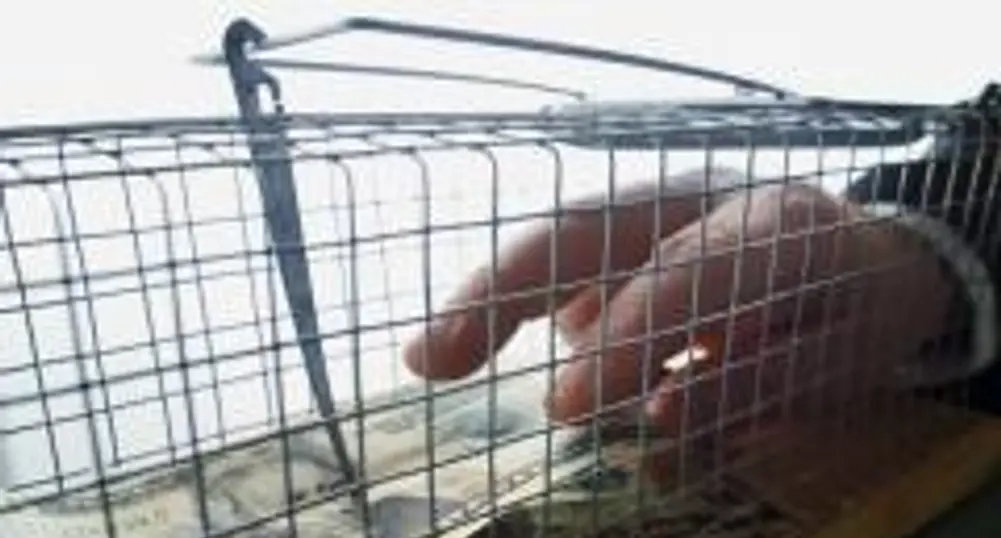 Домакинствата започват да усещат реално кризата