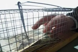 Домакинствата започват да усещат реално кризата