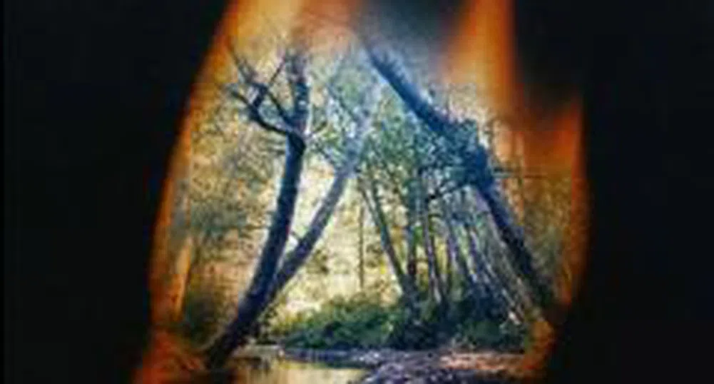 Близо 230 000 дка са засегнати от бушуващите пожари в страната