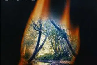 Близо 230 000 дка са засегнати от бушуващите пожари в страната