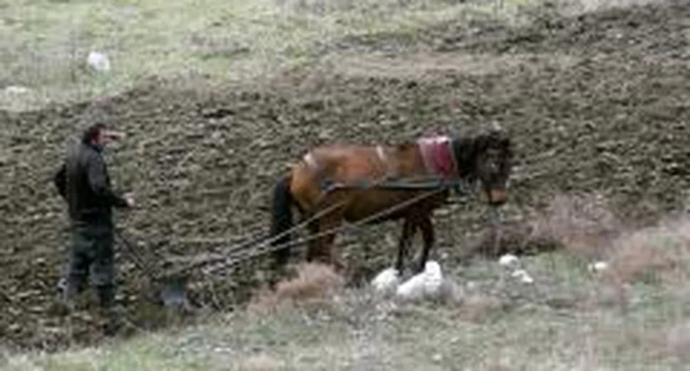 Съкратено съдебно производство срещу бившия директор на ДФ "Земеделие"