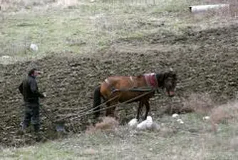 Съкратено съдебно производство срещу бившия директор на ДФ "Земеделие"