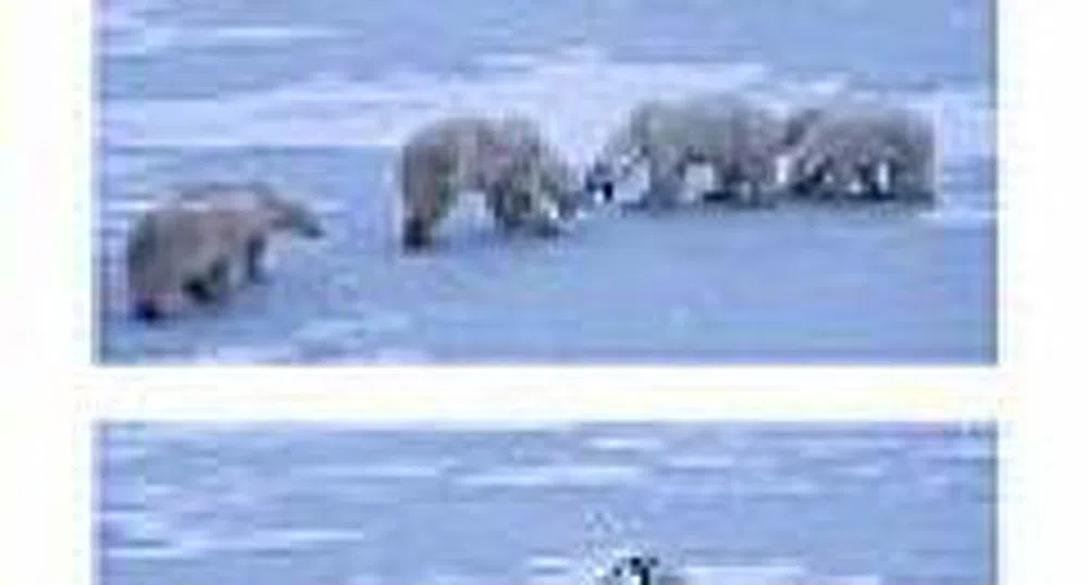 Понижения при 70% от компаниите в BG40 през седмицата