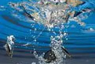 Собственикът на RCS&RDS е вторият милиардер в Румъния