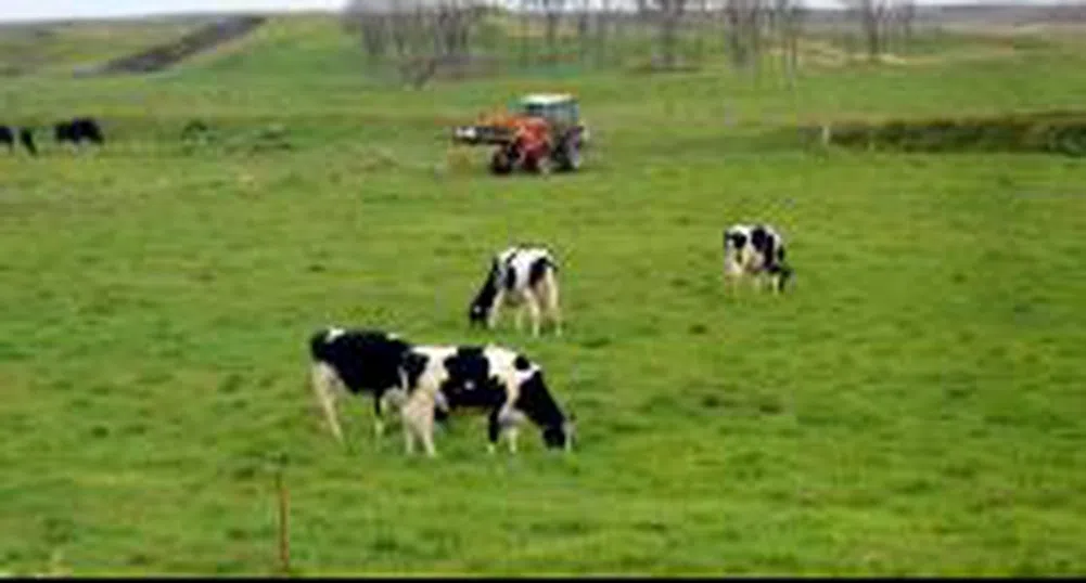 300 българи оставени без работа в британска ферма