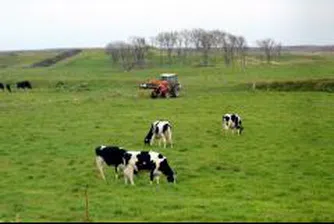 300 българи оставени без работа в британска ферма