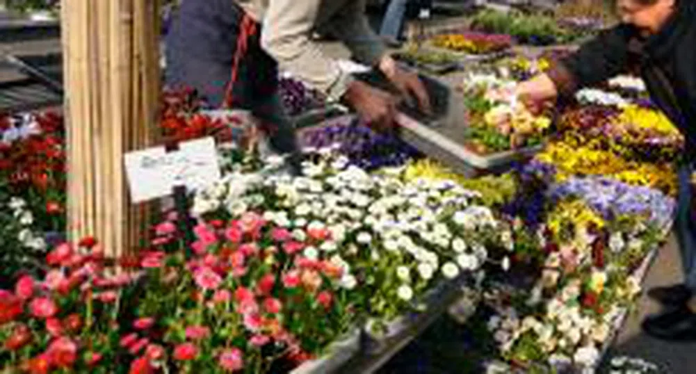 Цветарите очакват загуби за 8 март