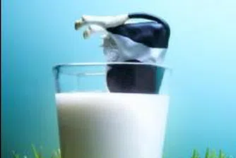 Млекопроизводители ще стачкуват на 27 декември пред Министерството на земеделието