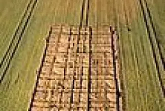 Пшеницата с нов рекорд на световните стокови пазари