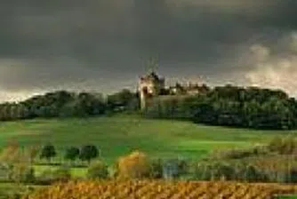 Земеделската земя във Великобритания с най-голям ръст през юни от 30 години насам