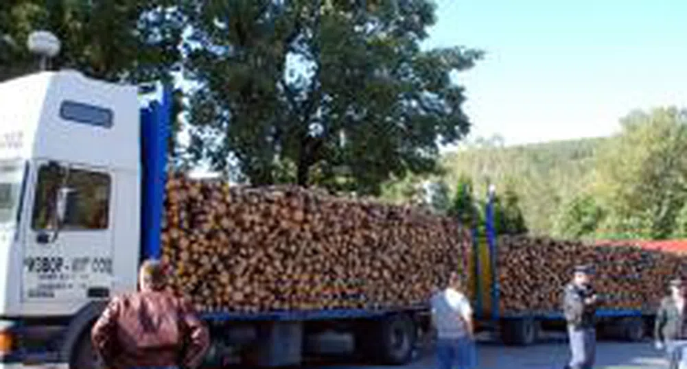 Около 14 млн. куб м дървесина се добиват годишно у нас