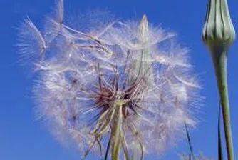 Kофи Анан и Горбачов срещу климатичните промени