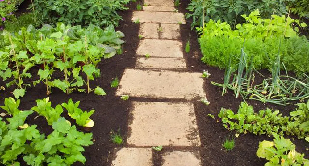 Градината на Мишел Обама