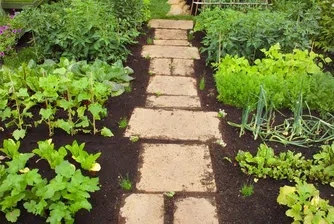 Градината на Мишел Обама