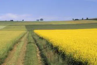 Прехвърлиха 10% от правата на Адванс Терафонд АДСИЦ за два дни