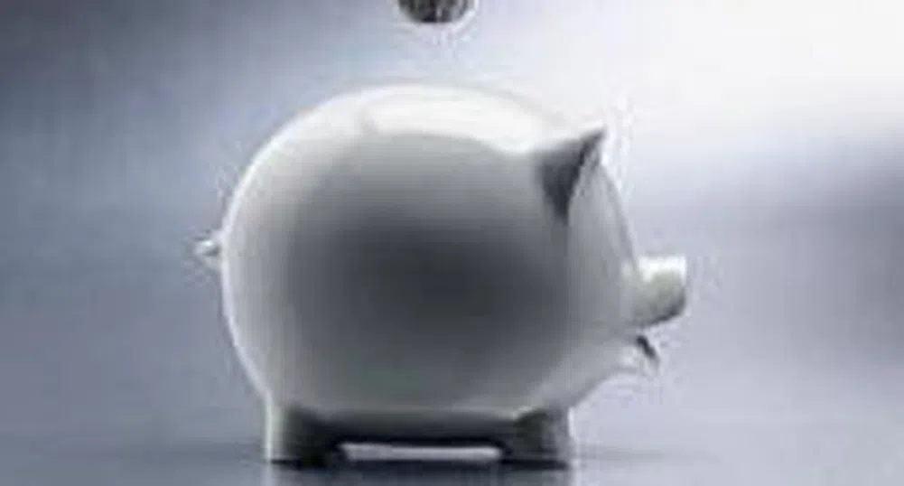 Kaolin To Allocate 7.5 Million Leva For Dividend Distribution