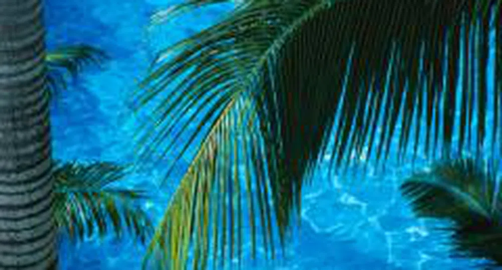 Показваме в Лувъра бани и масажи