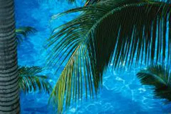 Показваме в Лувъра бани и масажи