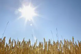 Шоково поскъпване на храните за една година