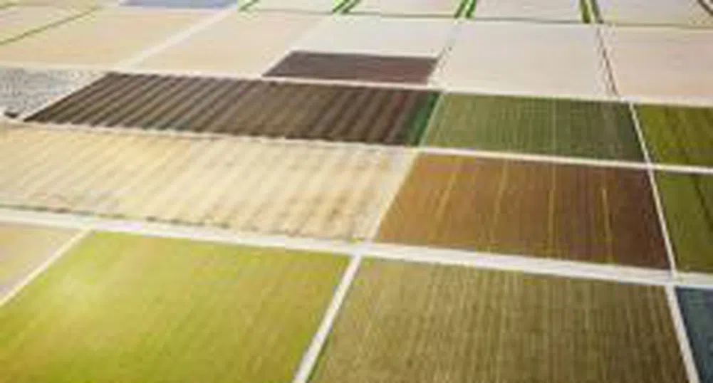 Станишев обсъди с МЗХ финансирането на селското стопанство