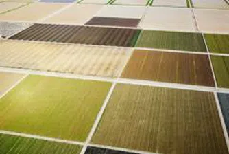 Станишев обсъди с МЗХ финансирането на селското стопанство