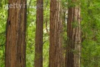 Природозащитници организират пресконференция за Природен парк Странджа