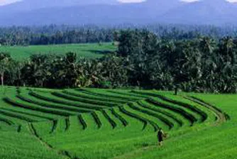 Земеделието да се изведе като национален приоритет, поиска депутатът В. Калинов