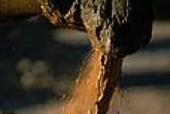 Петролът поевтинява след прибиране на печалби от страна на инвеститорите