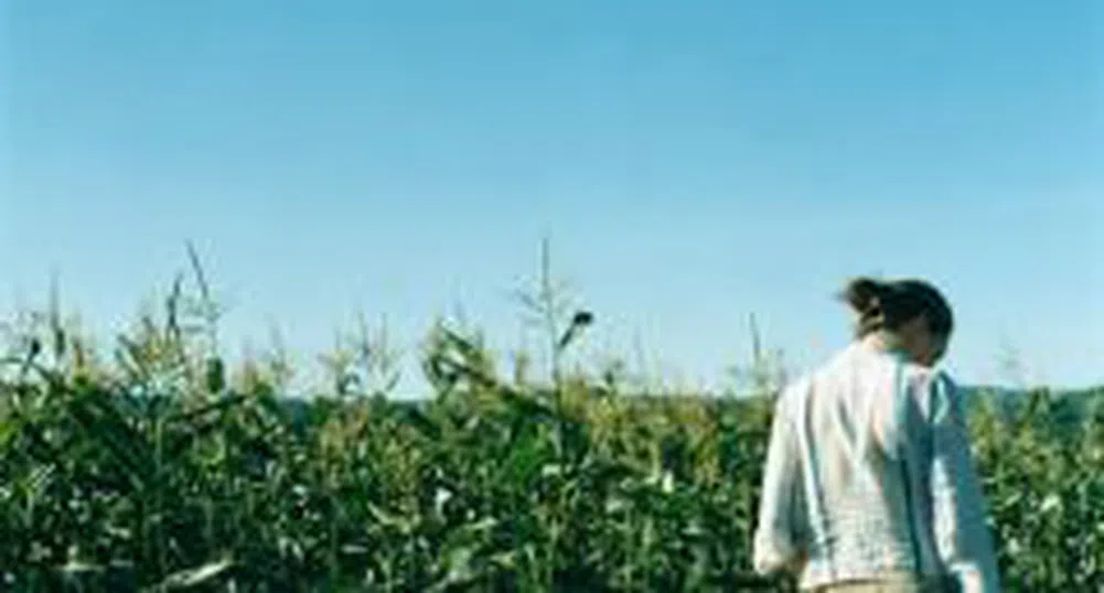 ЕС очаква рекорден добив на зърно през тази година