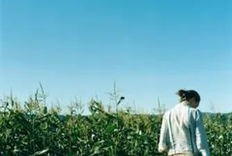 ЕС очаква рекорден добив на зърно през тази година