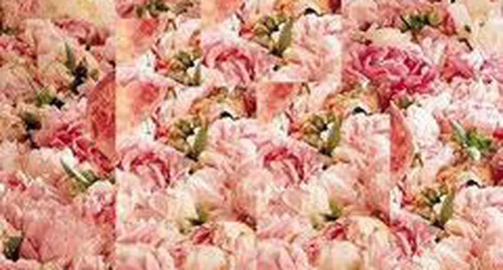 Rozachim Seeks Shareholder Approval to Raise Capital