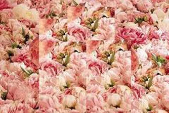 Rozachim Seeks Shareholder Approval to Raise Capital