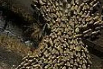 Избягвайте "стадното" инвестиране