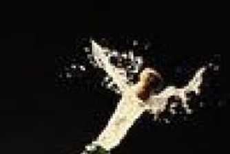 Luxury Business Stars Gather At A Conference In Sofia