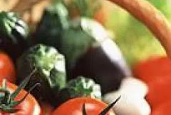 Vegetables, Dairy Products Appreciate on Wholesale Markets