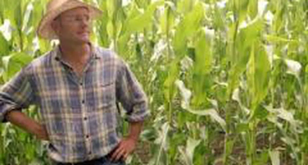 В ЕС се обсъжда застраховане на земеделците