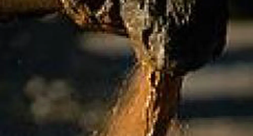 Петролът стартира седмицата с понижение