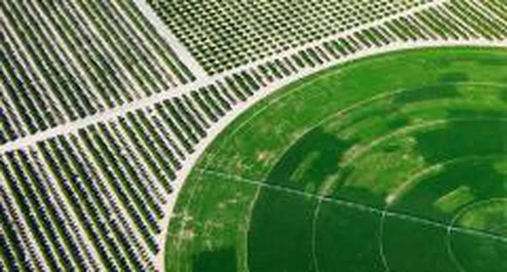 Mel Invest Agricultural Land REIT Raises 15.3 Million Leva in Capital Increase
