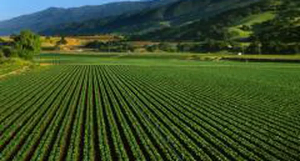 Близо 1.5 млн. права на Адванс Терафонд се изтъргуваха в първия ден