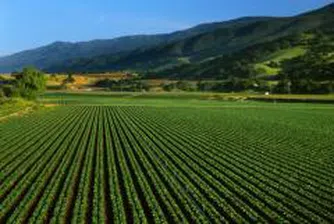 Близо 1.5 млн. права на Адванс Терафонд се изтъргуваха в първия ден